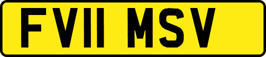 FV11MSV