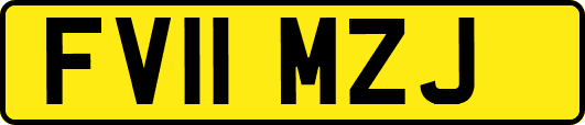FV11MZJ