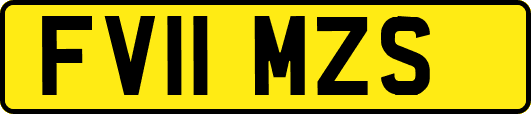 FV11MZS