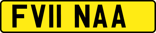 FV11NAA