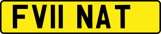 FV11NAT