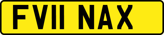 FV11NAX