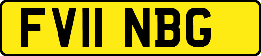 FV11NBG