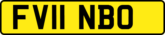 FV11NBO