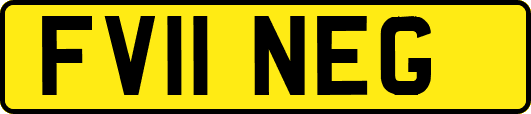 FV11NEG