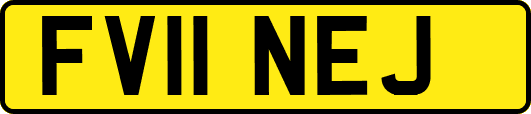 FV11NEJ