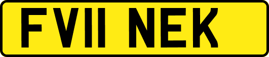 FV11NEK