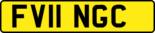 FV11NGC