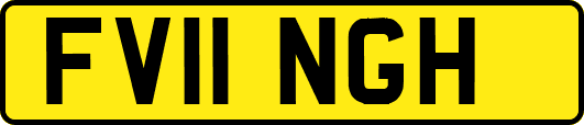 FV11NGH