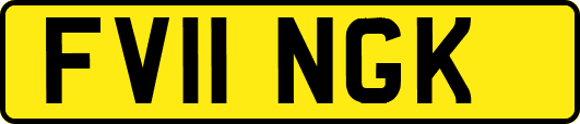 FV11NGK