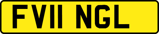 FV11NGL