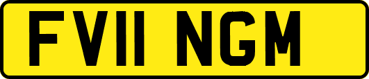 FV11NGM