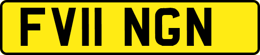 FV11NGN