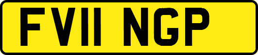 FV11NGP