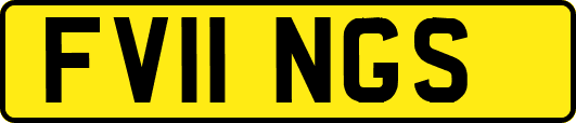 FV11NGS