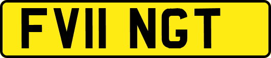 FV11NGT
