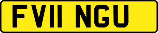 FV11NGU