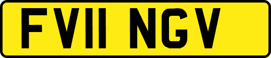 FV11NGV