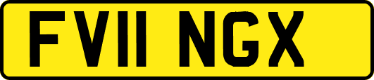 FV11NGX