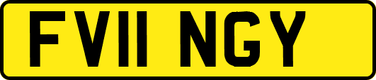 FV11NGY