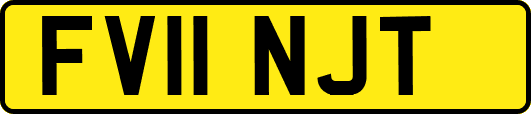 FV11NJT