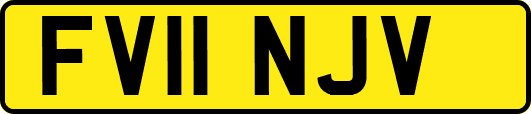 FV11NJV