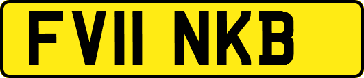 FV11NKB
