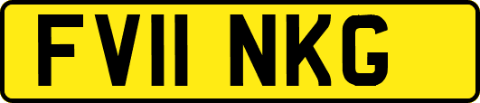 FV11NKG