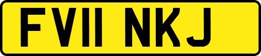 FV11NKJ