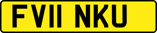 FV11NKU