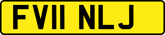 FV11NLJ