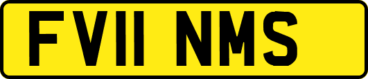 FV11NMS