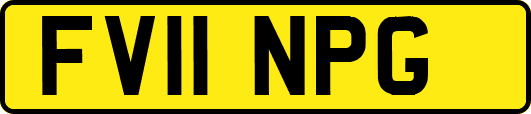 FV11NPG