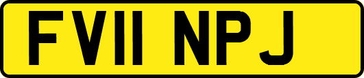 FV11NPJ
