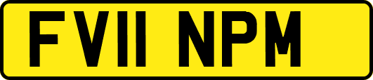 FV11NPM