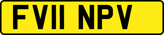 FV11NPV