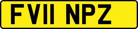FV11NPZ