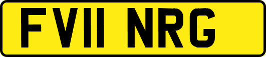 FV11NRG