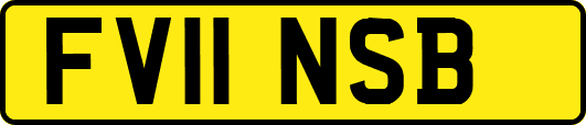 FV11NSB