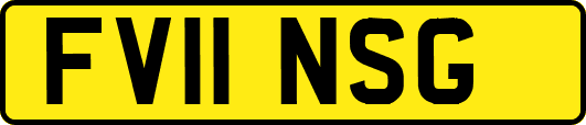 FV11NSG