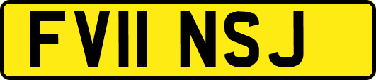 FV11NSJ