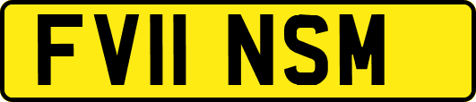 FV11NSM