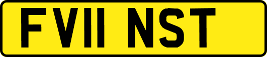 FV11NST