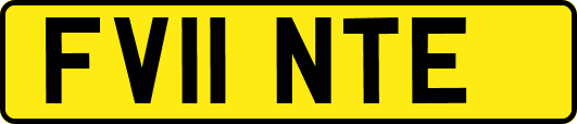 FV11NTE