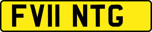 FV11NTG