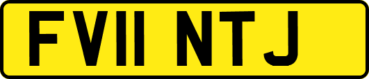 FV11NTJ