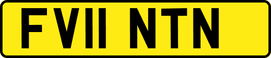 FV11NTN
