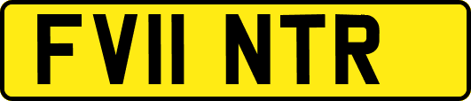 FV11NTR