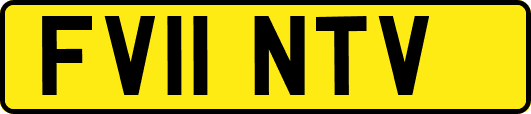 FV11NTV