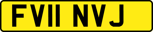 FV11NVJ